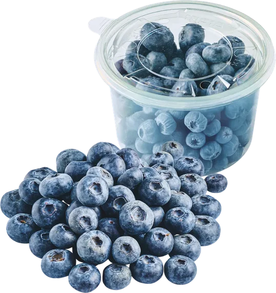 Borówka Amerykańska 300g szt widok 2