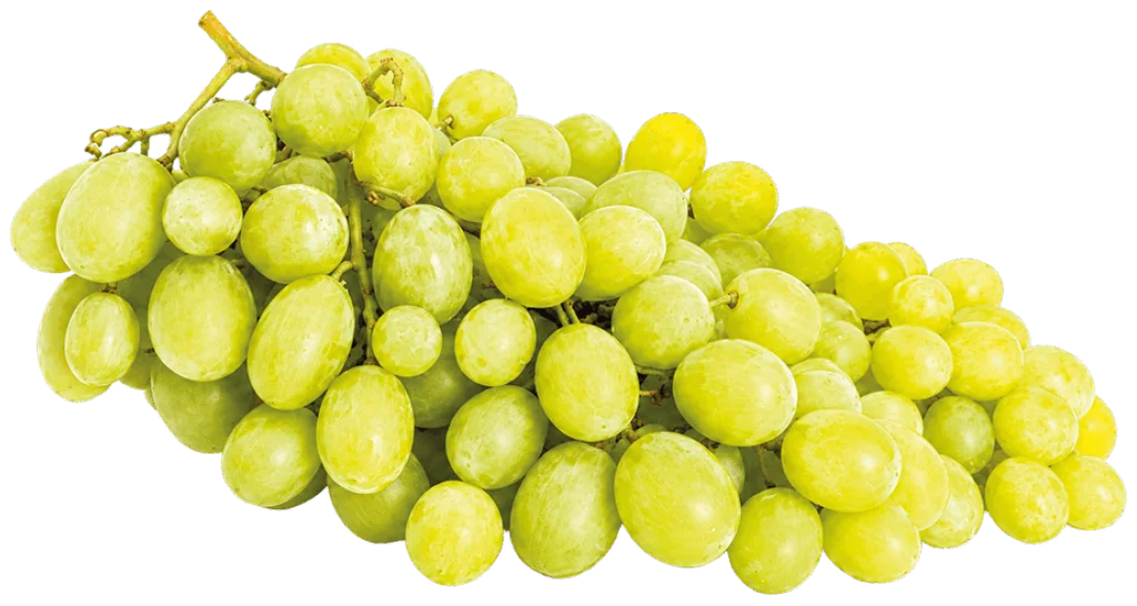 Zdjęcie produktu - Winogrono jasne