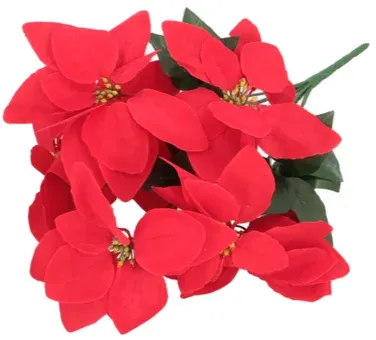 Bukiet gwiazda betlejemska 7 główek czerwona BN25 widok 1