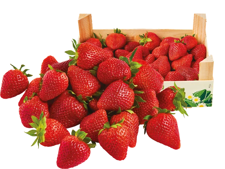 Truskawka kg widok 2