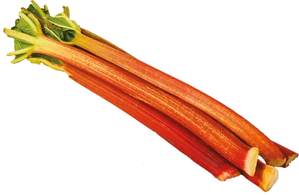 Rabarbar 500g szt widok główny 