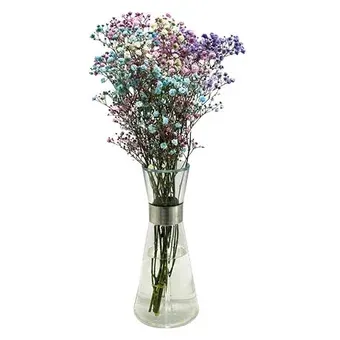 Kwiat bukiet Gipsówka kolorowa 5szt widok 1