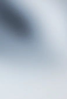 Wódka Stock Prestige 0,5l 40% widok tła