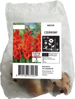 Cebula kwiatowa Mieczyk Czerwony 5szt widok 1