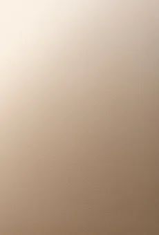 Kurczak z pieca Duda 200g widok tła