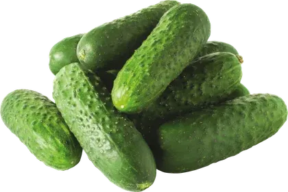 Ogórek gruntowy widok 1