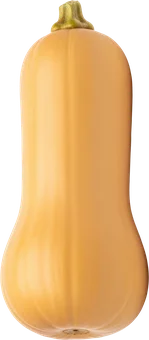 Dynia piżmowa widok 1