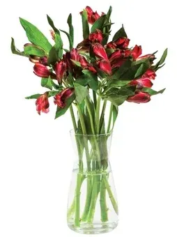 Kwiat bukiet Alstromeria 7szt widok 1