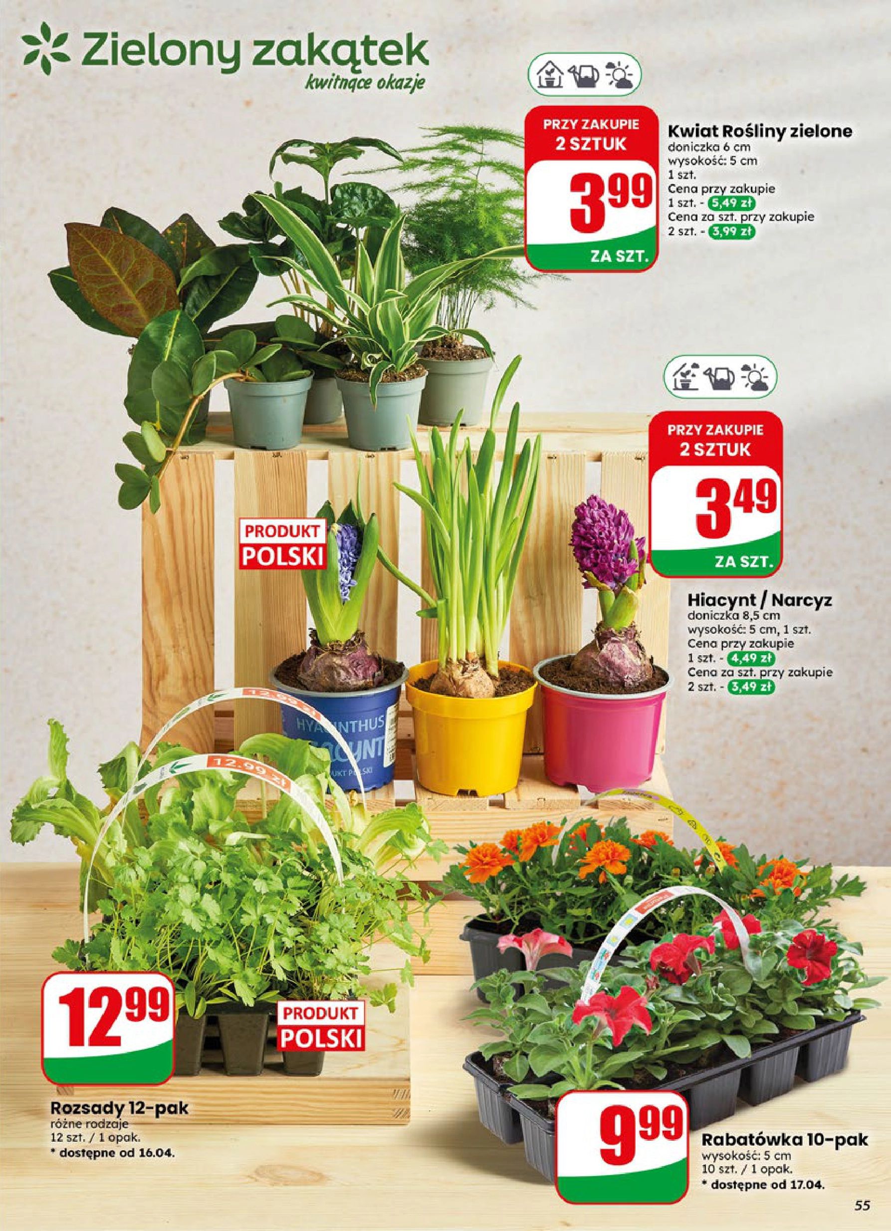 Strona https://api.marketdino.pl/media/pdf/promo_news_pages/dino_16_26_small_4_page_55_W52XBHM.webp