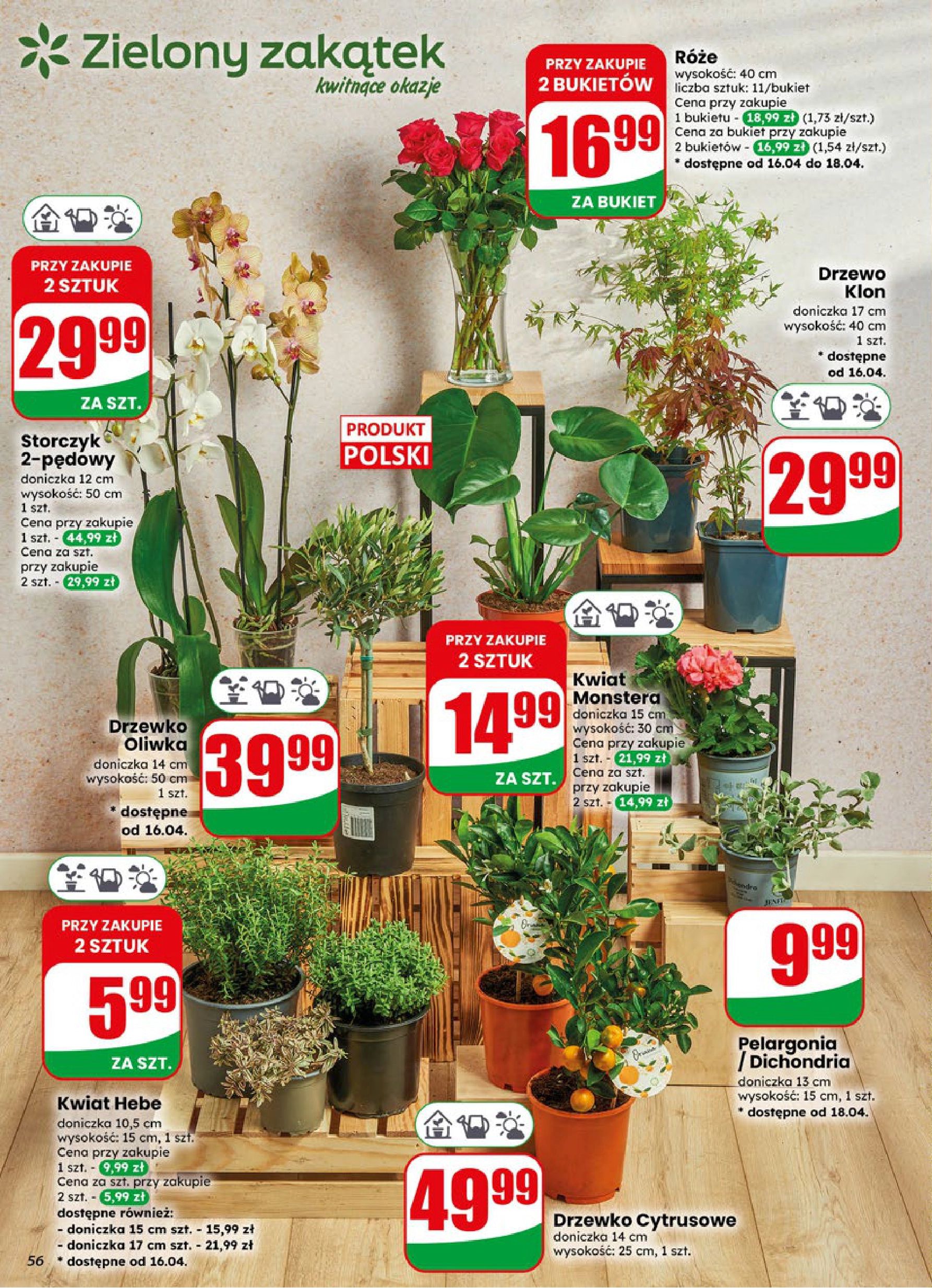 Strona https://api.marketdino.pl/media/pdf/promo_news_pages/dino_16_26_small_4_page_56_5E1jXGB.webp