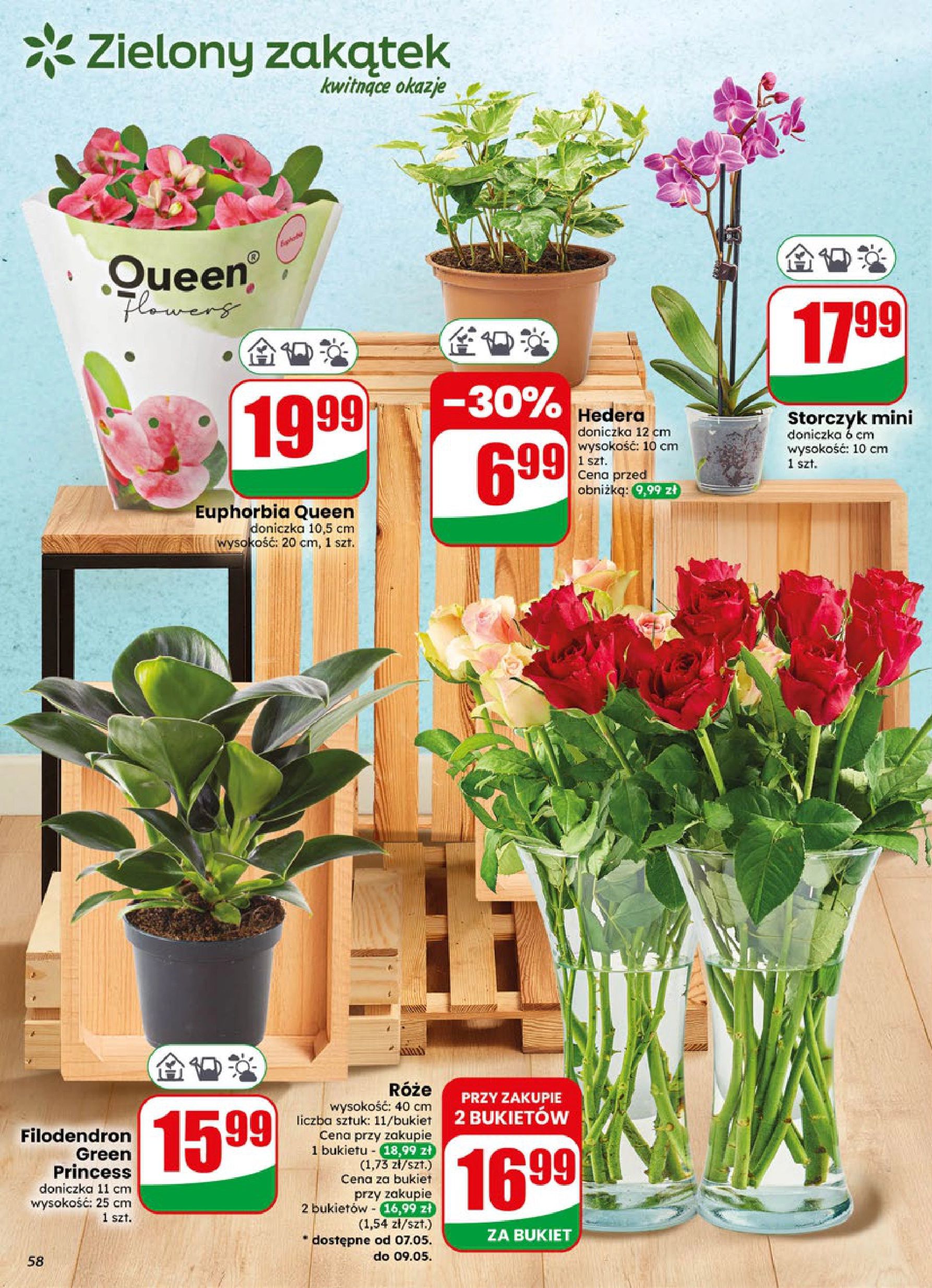 Strona https://api.marketdino.pl/media/pdf/promo_news_pages/dino_19_26_small_6_page_58_lncK4cm.webp