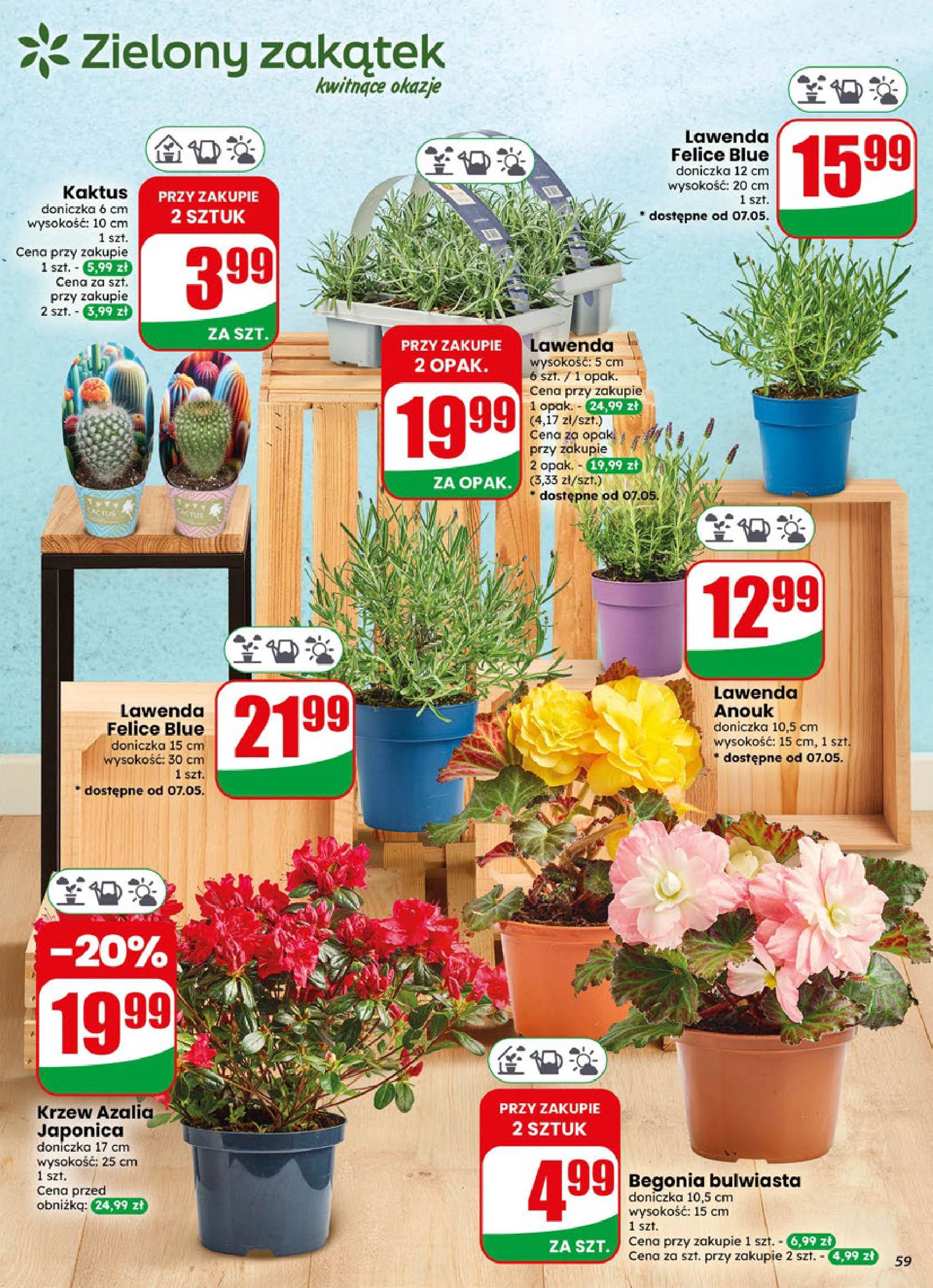 Strona https://api.marketdino.pl/media/pdf/promo_news_pages/dino_19_26_small_6_page_59_IlpmfMV.webp