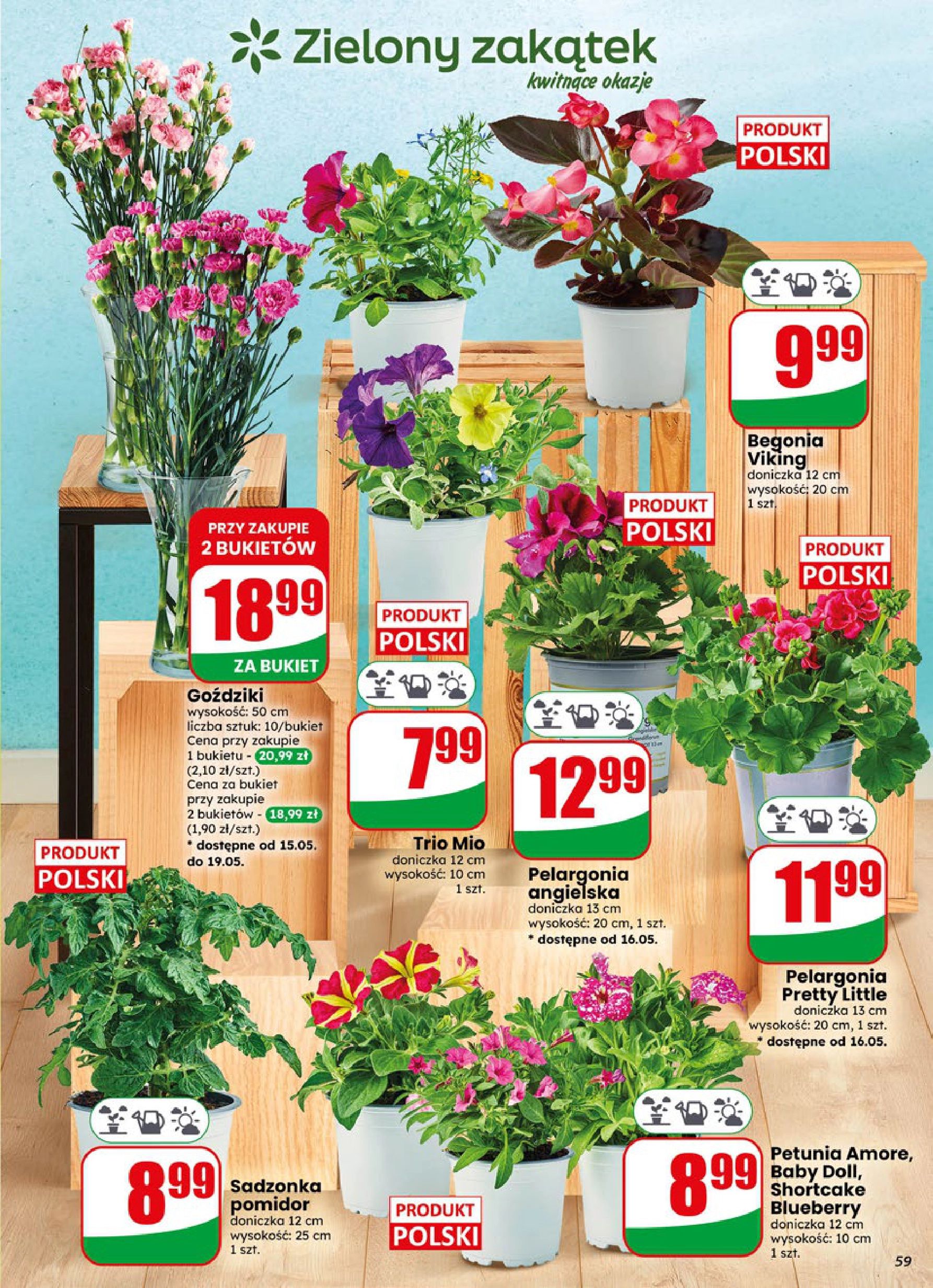 Strona https://api.marketdino.pl/media/pdf/promo_news_pages/dino_20_26_small_4_page_59_KNXyTv5.webp