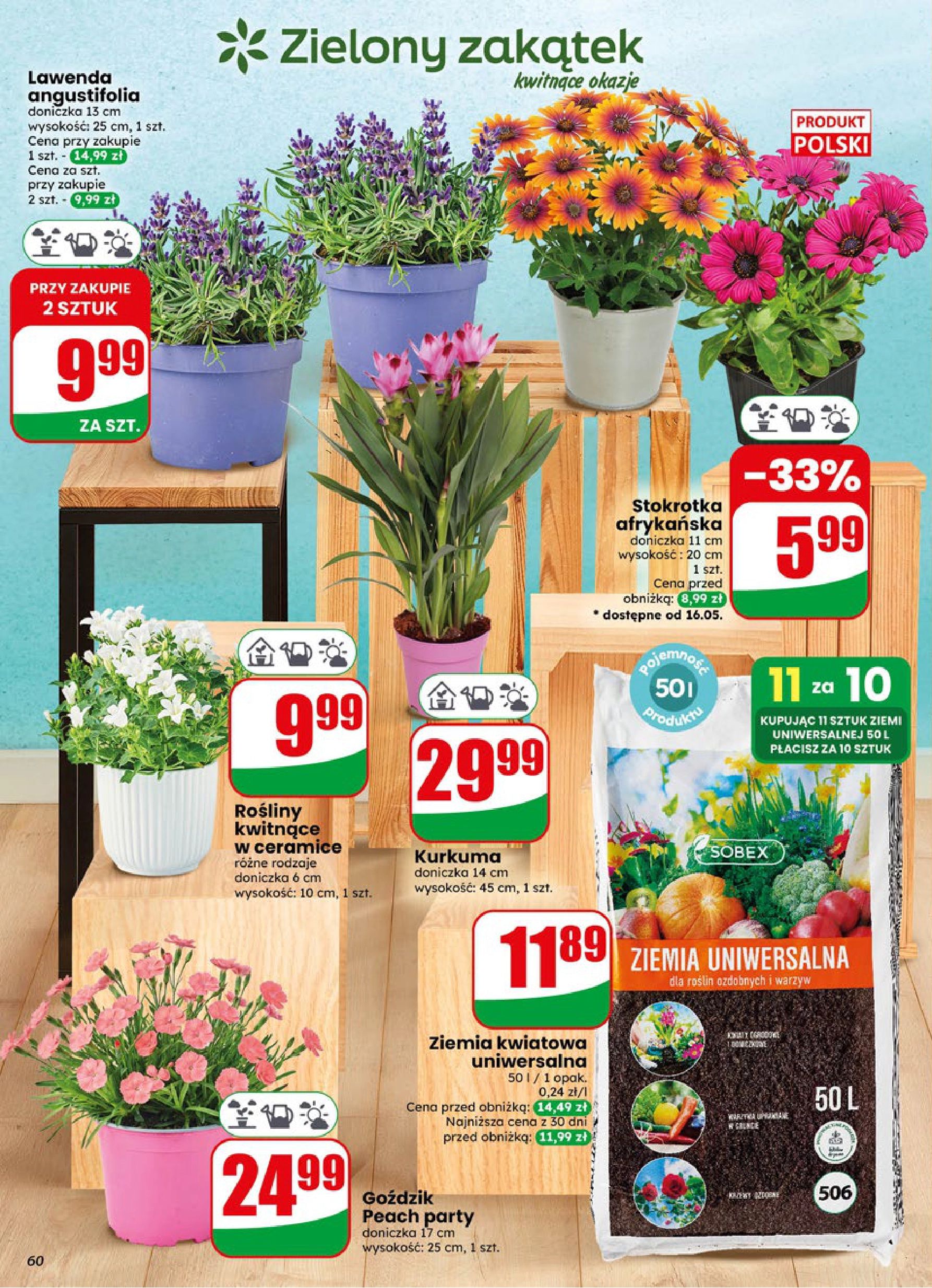 Strona https://api.marketdino.pl/media/pdf/promo_news_pages/dino_20_26_small_4_page_60_9Oujj7F.webp