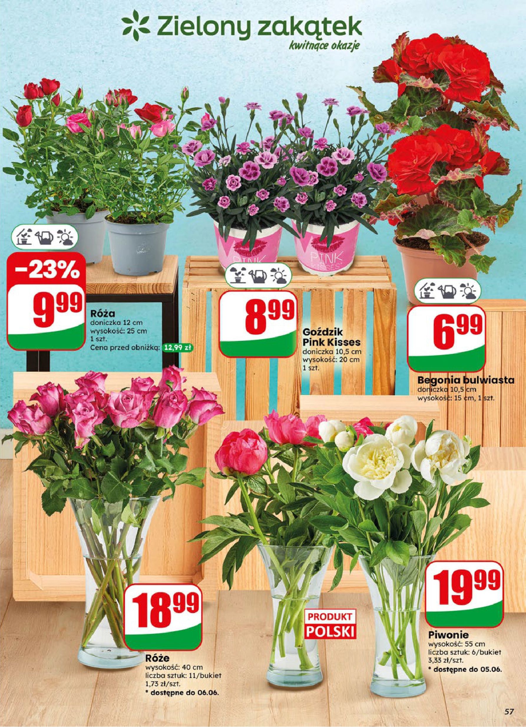 Strona https://api.marketdino.pl/media/pdf/promo_news_pages/dino_23_26_small_7_page_57_JW5dsCv.webp