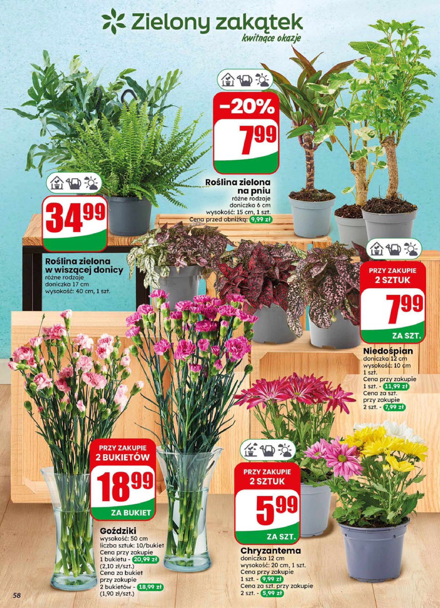 Strona https://api.marketdino.pl/media/pdf/promo_news_pages/dino_23_26_small_7_page_58_pIzBVUN.webp